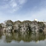 郡山城跡の鰻堀池。水面の向こうに石垣と木立が続く