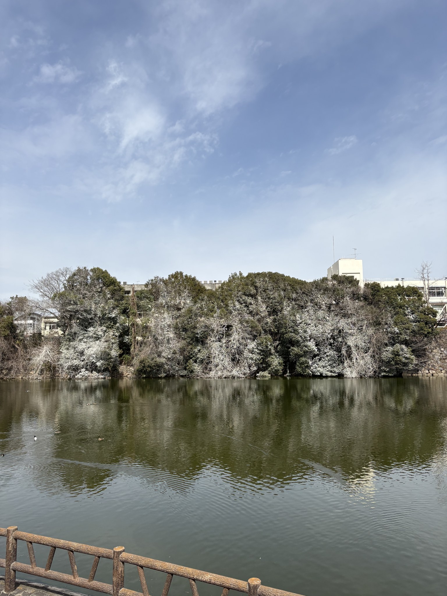 郡山城跡の鰻堀池。水面の向こうに石垣と木立が続く