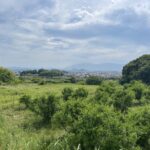 山の辺の道の棚田の眺め
