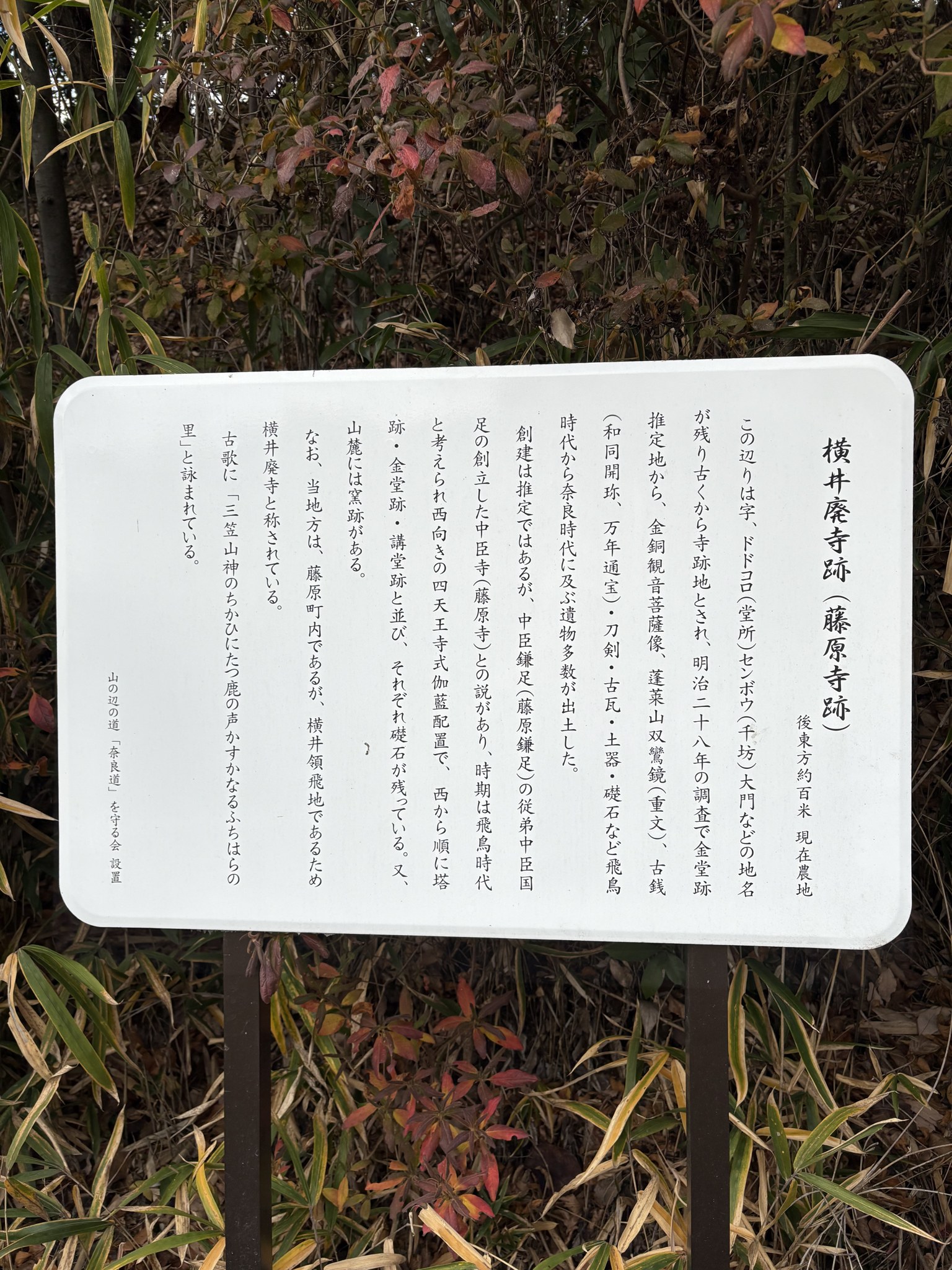 横井廃寺跡(藤原寺跡)の説明板