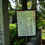 中将姫・糸掛桜の石碑と説明板