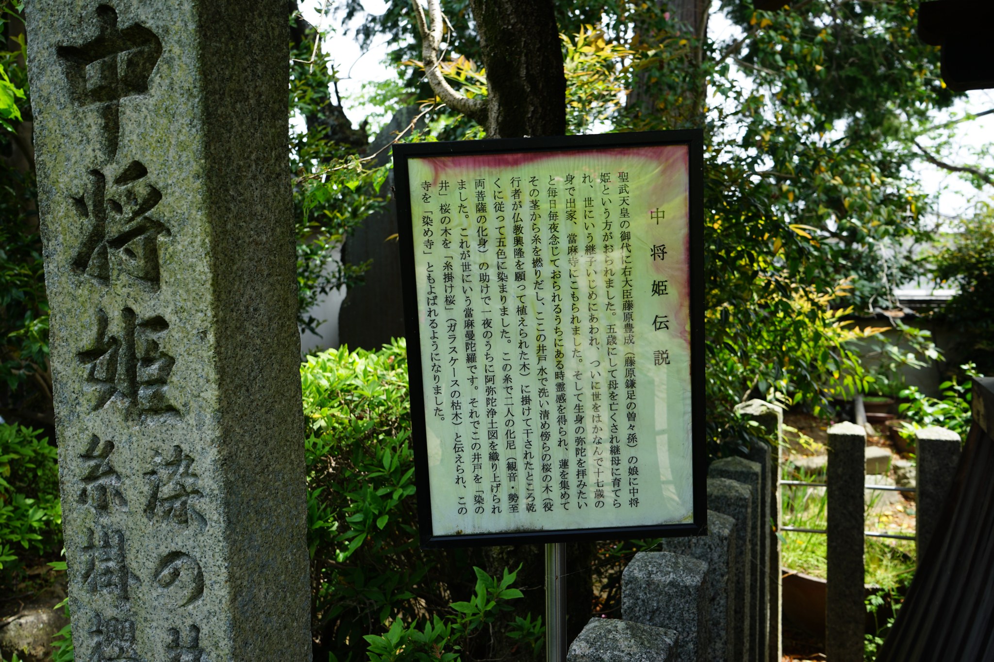 中将姫・糸掛桜の石碑と説明板