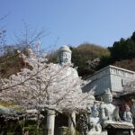 桜に囲まれた壷阪寺の大釈迦如来石像と石仏群