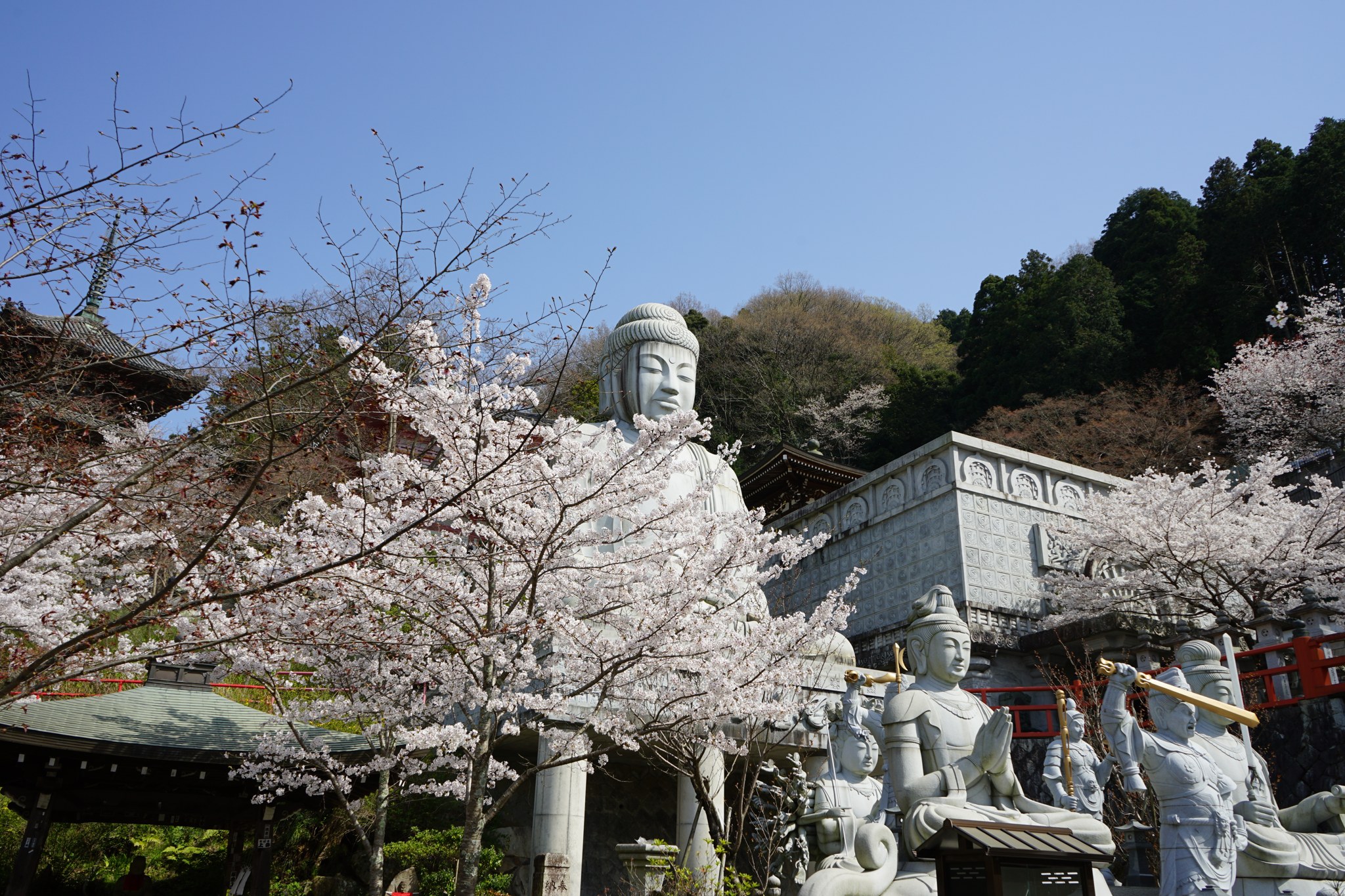 桜に囲まれた壷阪寺の大釈迦如来石像と石仏群