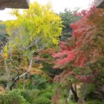 信貴山朝護孫子寺の鮮やかな紅葉