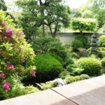 長岳寺の庭園の新緑