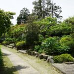 石光寺の回遊式庭園の小径