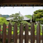 石光寺の柵越しに見る境内とぼたん