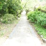長岳寺の新緑の参道
