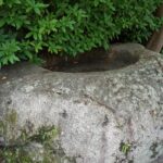 石光寺の塔心礎とされる大きな石