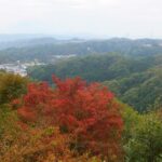 信貴山の山上から望む紅葉と大和平野
