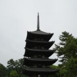 松の緑ごしに見上げる興福寺の国宝五重塔