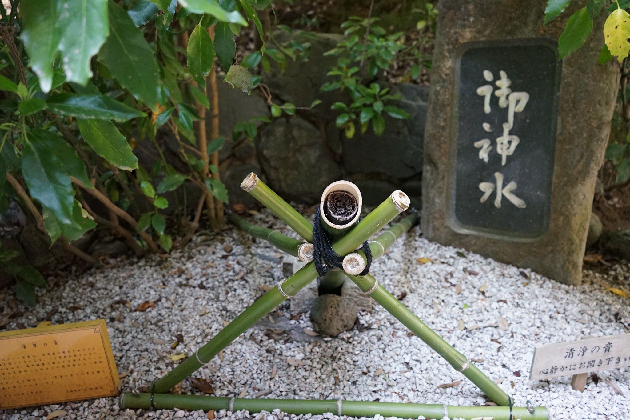 狭井神社の御神水