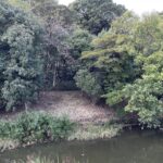 濠と木立にかこまれた墓山古墳