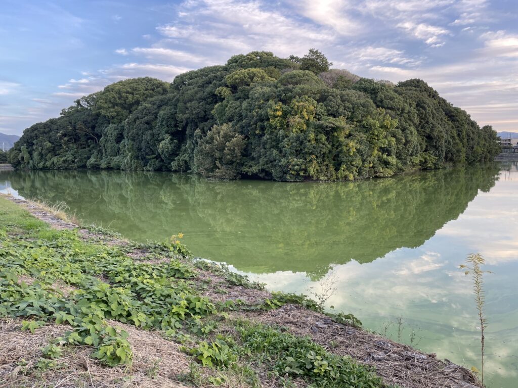 濠の水面に森をうつす白鳥陵古墳