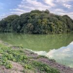 濠の水面に森をうつす白鳥陵古墳