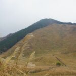 一面に広がる曽爾高原のススキ草原と丘へ続く道