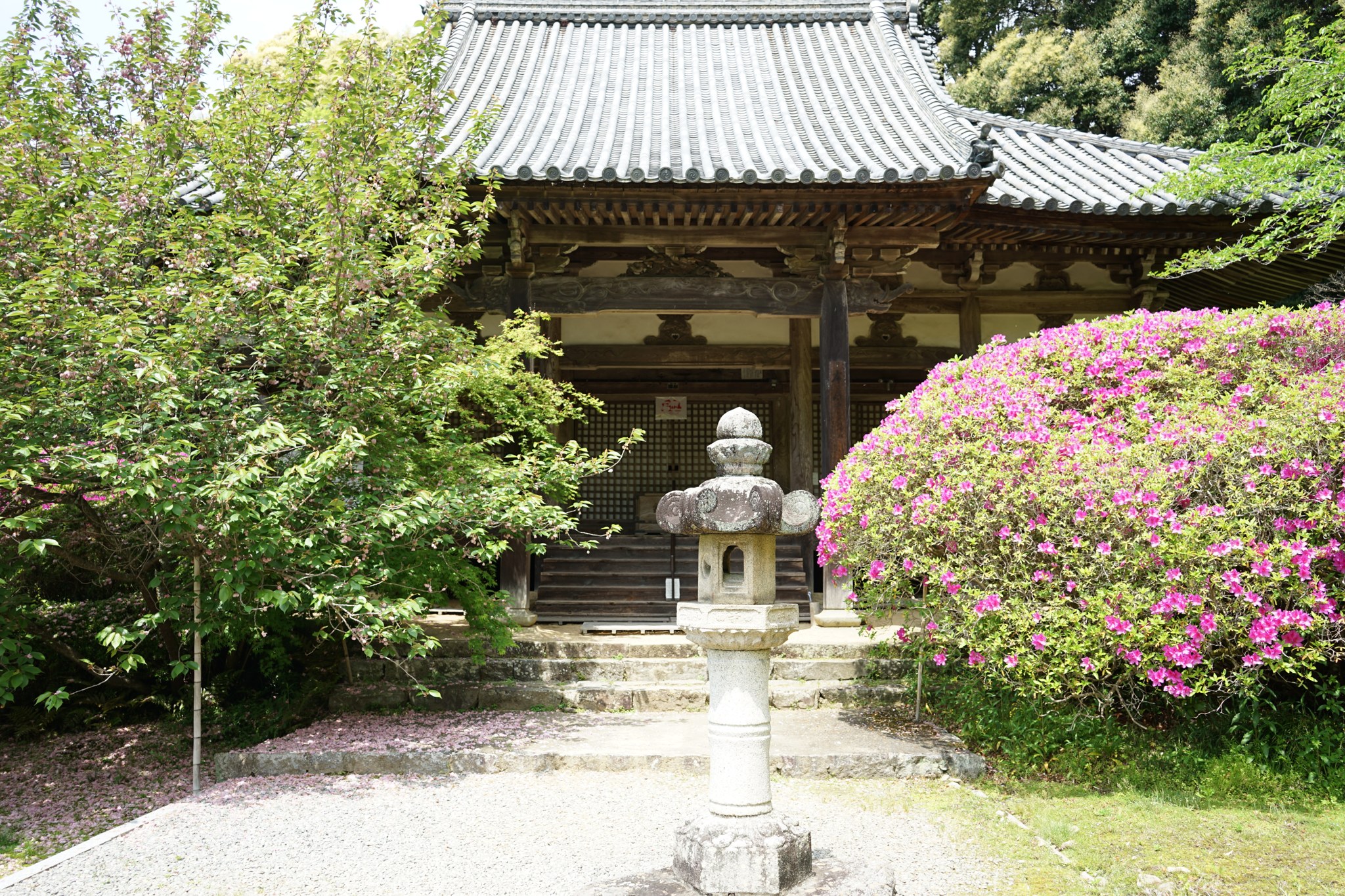 長岳寺の本堂と石灯籠