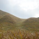 お椀のような形の亀山の斜面をおおうススキ