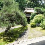 慈光院の刈込と松が続く庭園