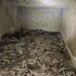 小口山古墳の横口式石槨の内部