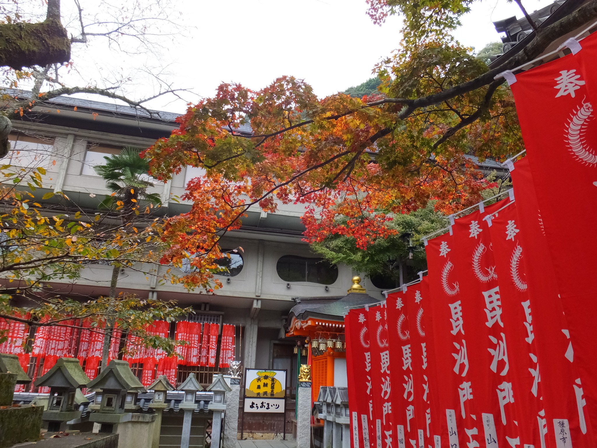 信貴山朝護孫子寺の赤い幟と鮮やかな紅葉