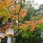 橿原神宮の紅葉と灯籠