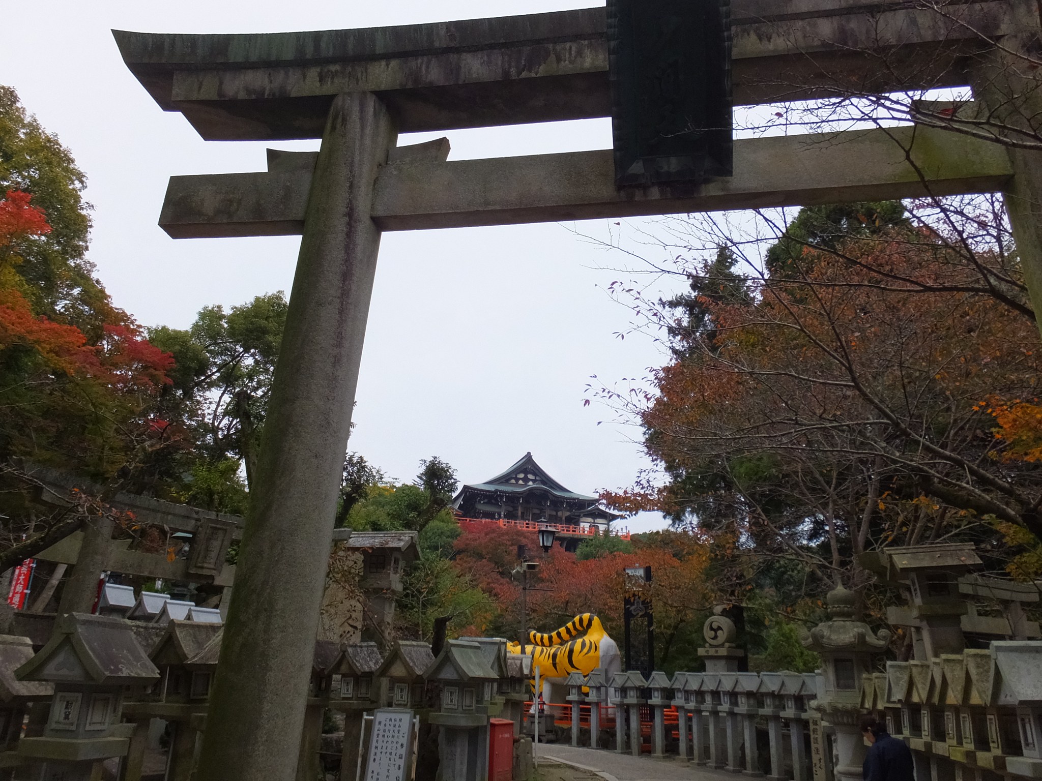 紅葉に包まれた信貴山朝護孫子寺の大鳥居と奥に見える塔