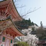 壷阪寺の礼堂と丘の上の大観音石像、三重塔と桜