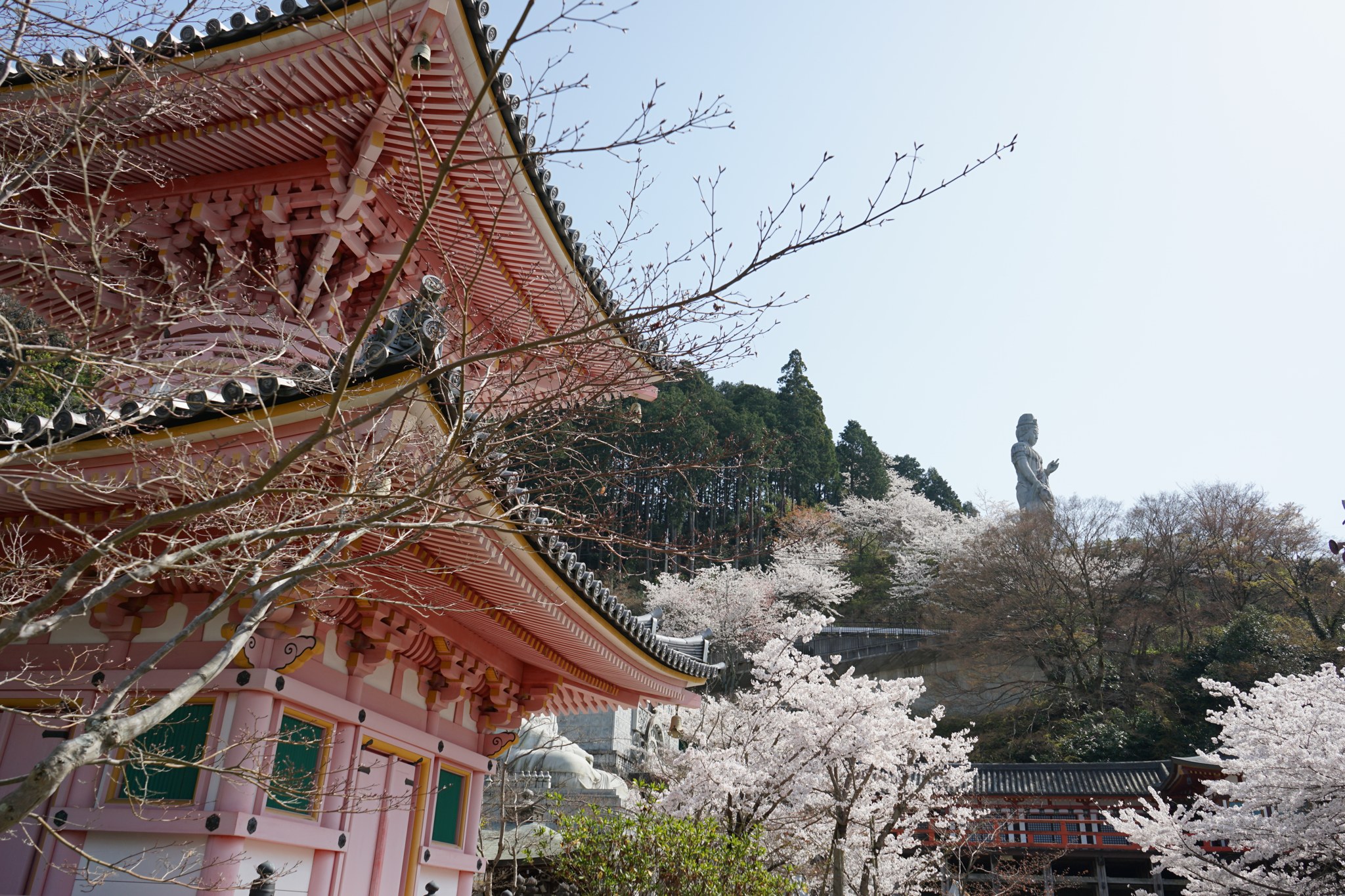 壷阪寺の礼堂と丘の上の大観音石像、三重塔と桜