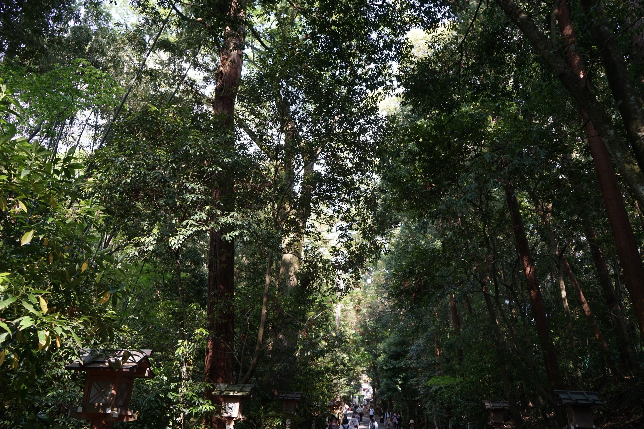 大神神社の参道
