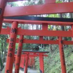 奉納者の名が記された朱色の鳥居が連なる参道