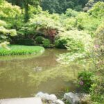長岳寺の放生池を中心とした庭園とかきつばた
