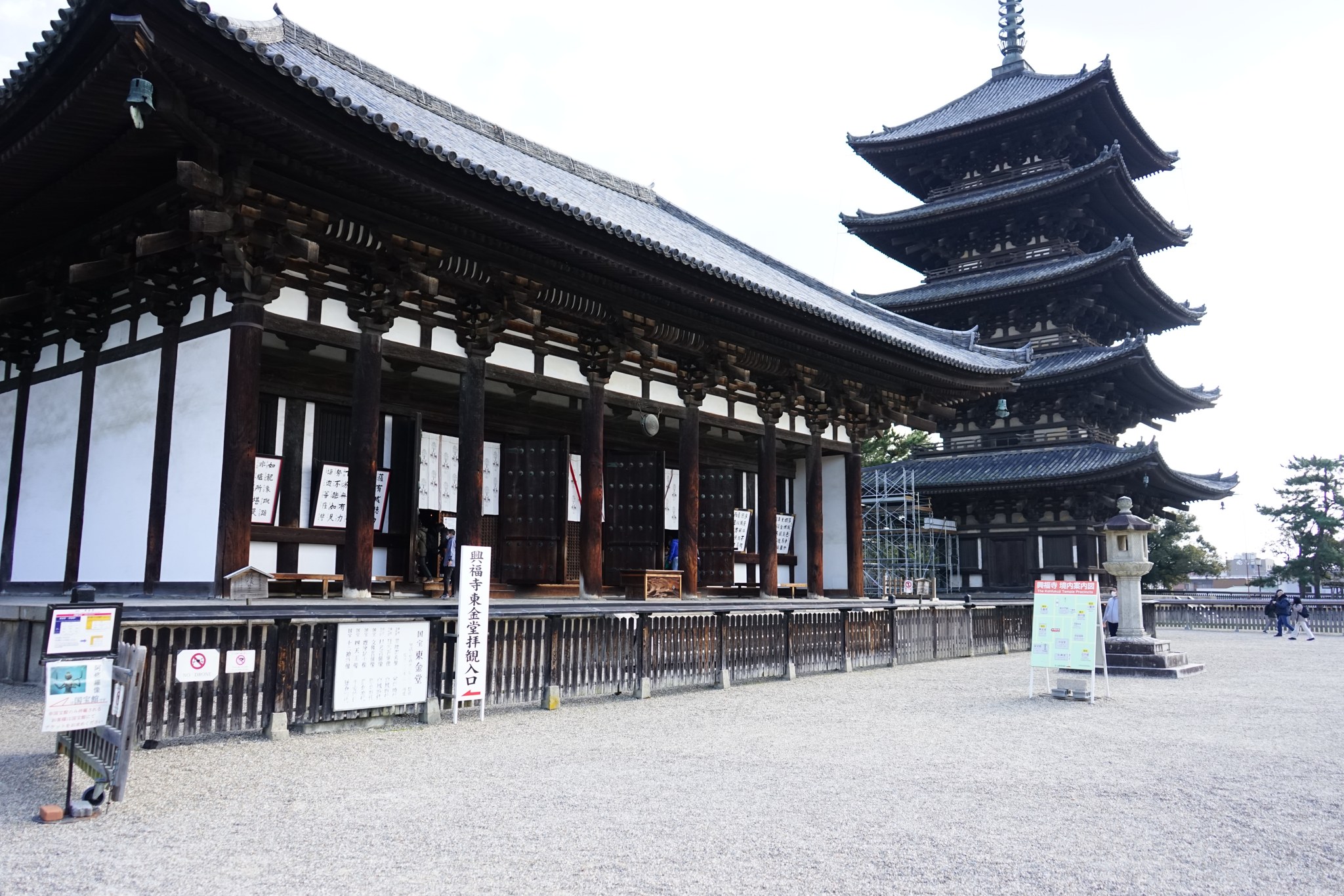 国宝東金堂と背後にそびえる興福寺の五重塔