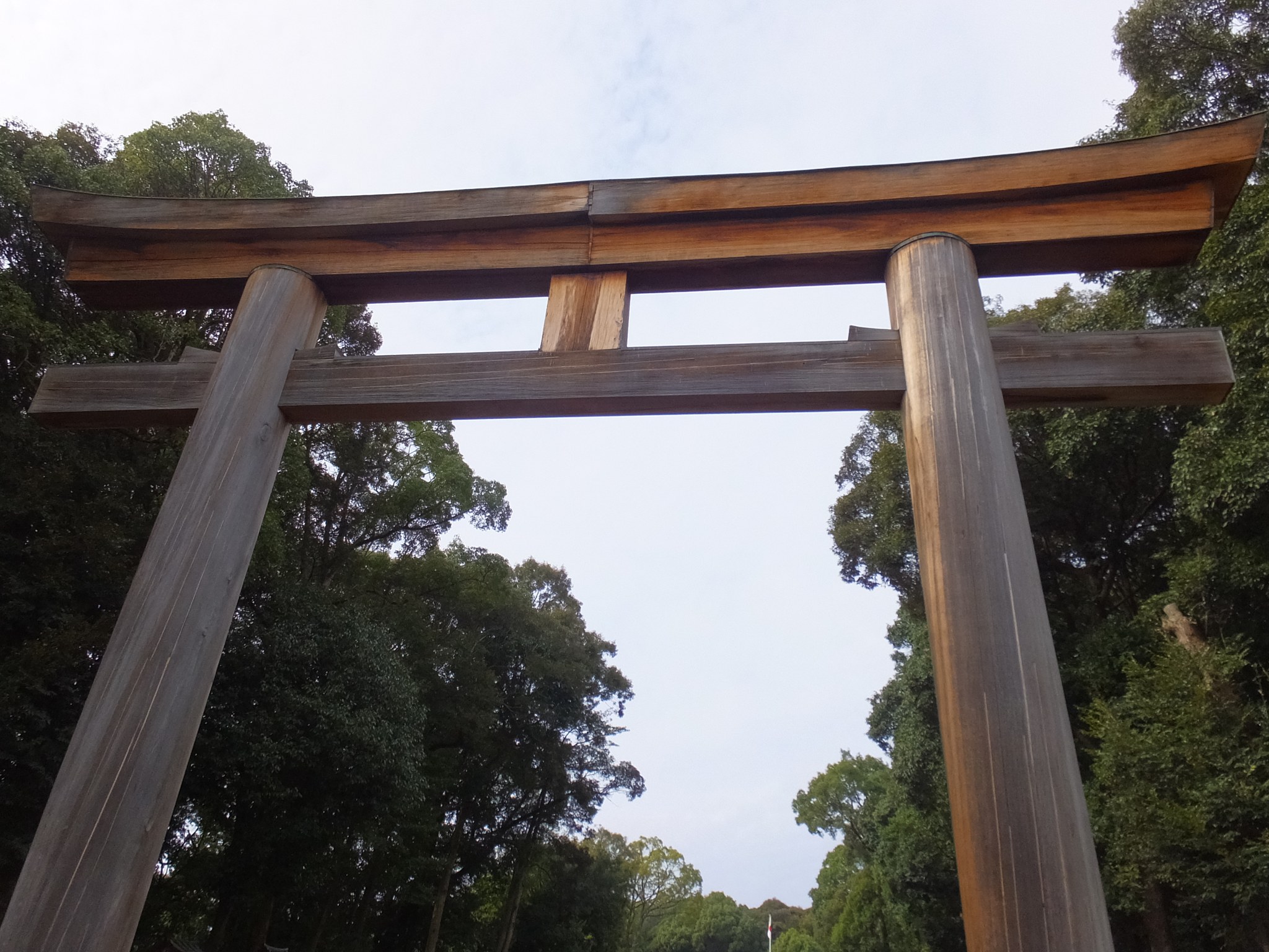 橿原神宮の鳥居の笠木