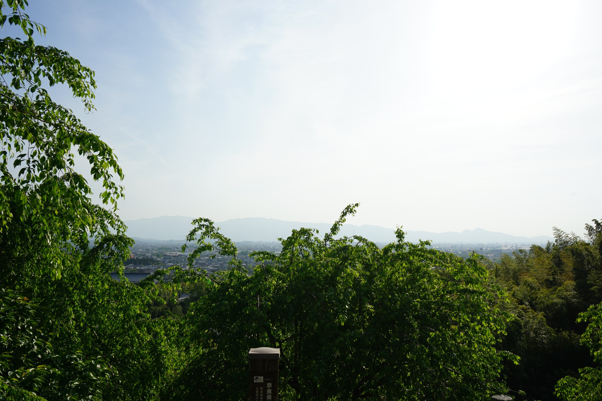 大神神社から望む大和盆地