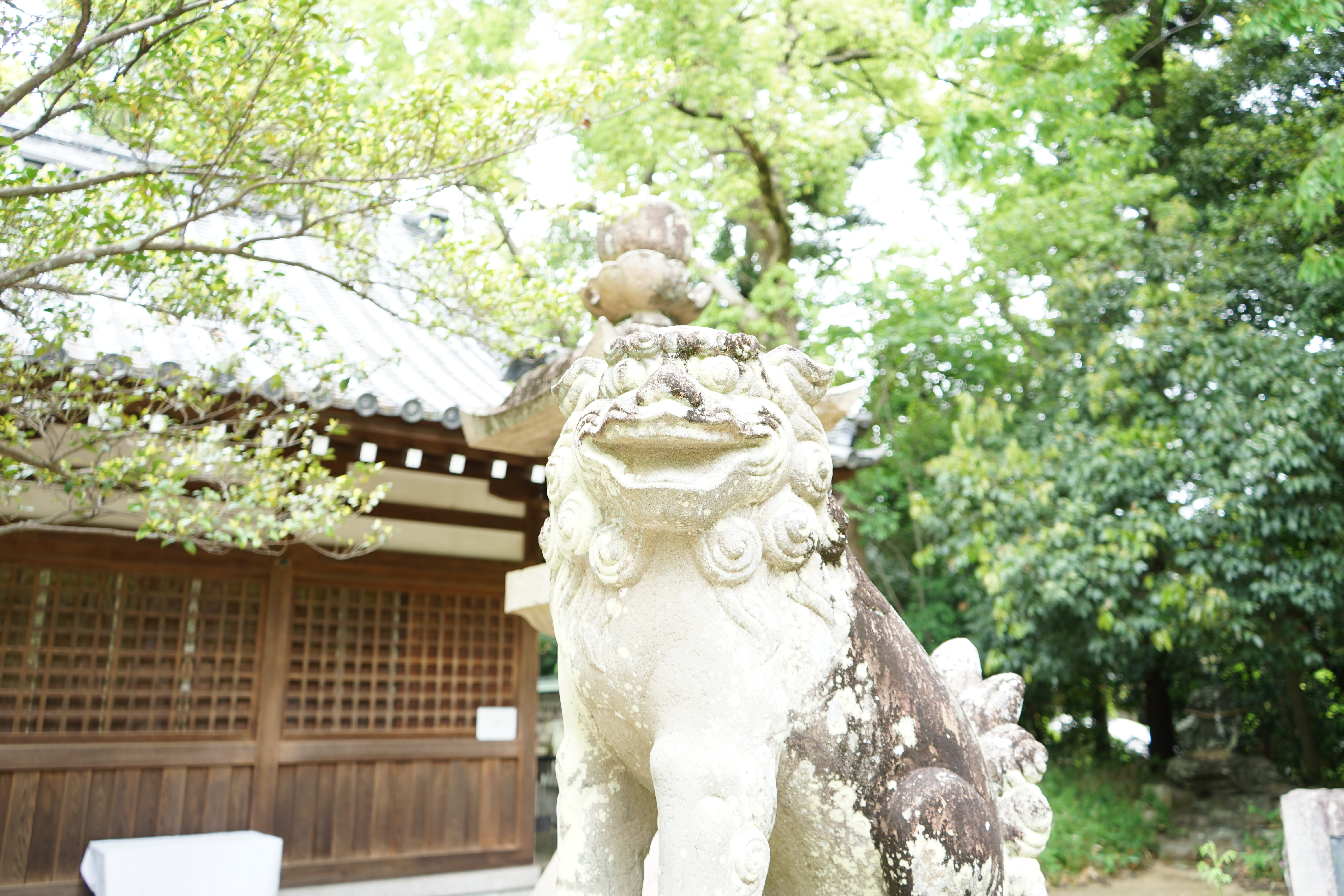 鏡作り発祥の地！美の聖地鏡作坐天照御魂神社 - ならかん〜奈良観光紹介〜