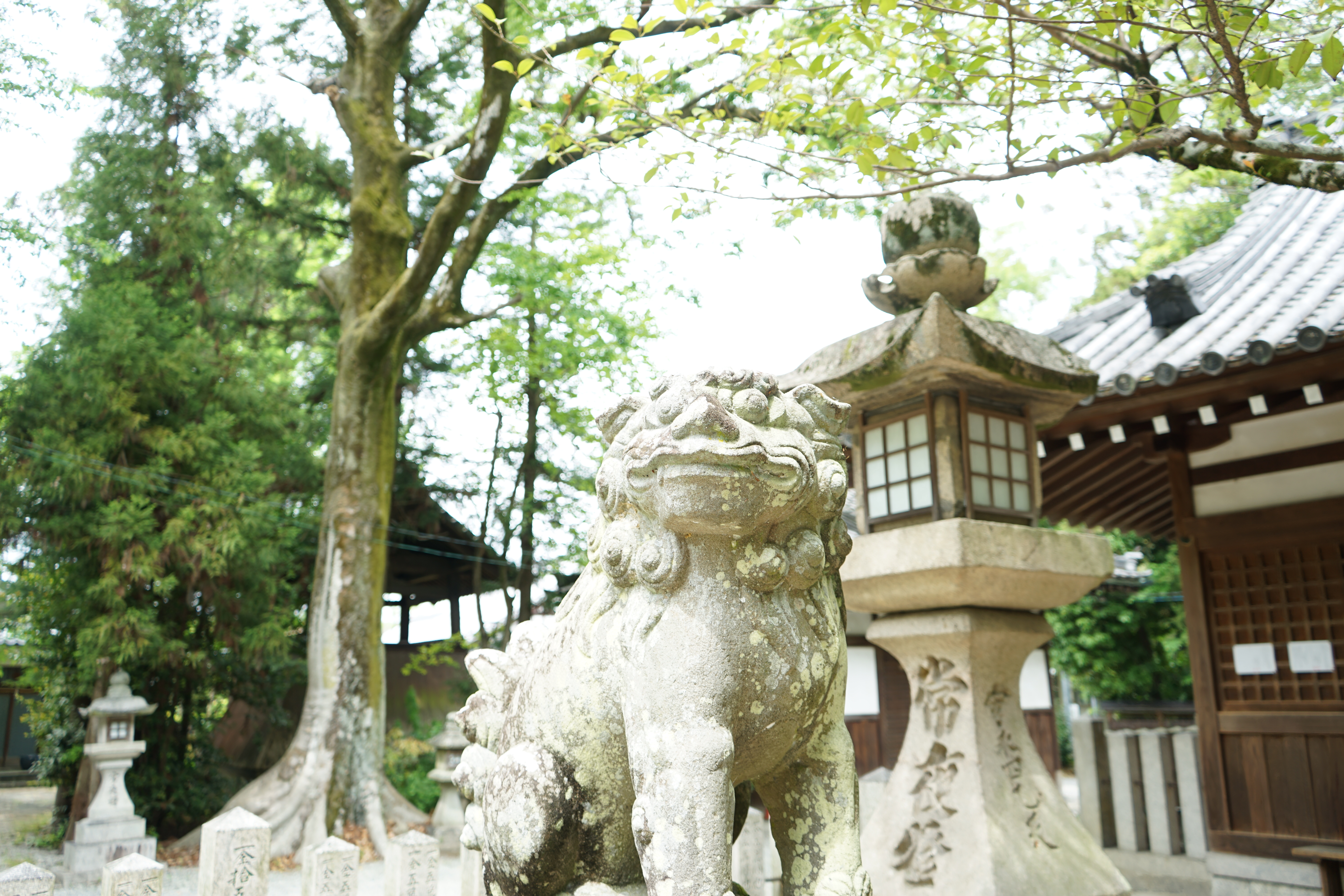 鏡作り発祥の地！美の聖地鏡作坐天照御魂神社 - ならかん〜奈良観光紹介〜